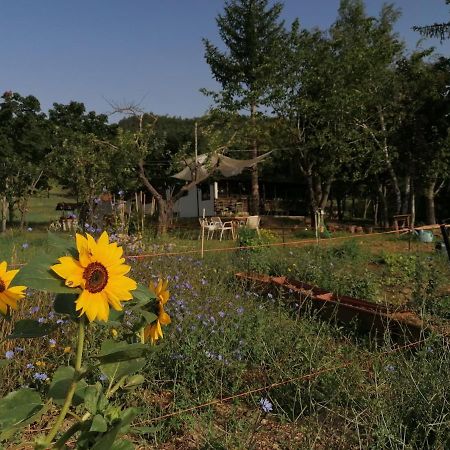فيلا San Sebastiano Curoneفي Nickland المظهر الخارجي الصورة